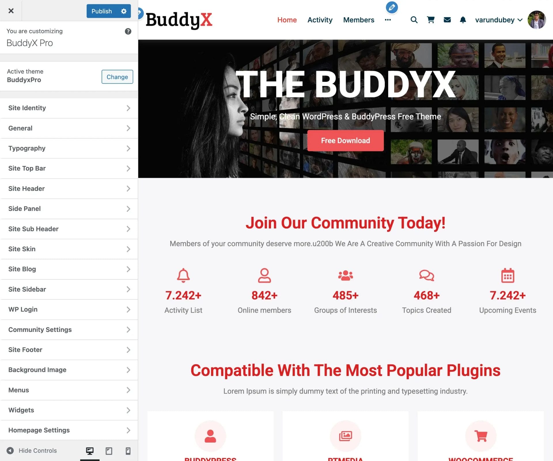 Customizer Main Panel