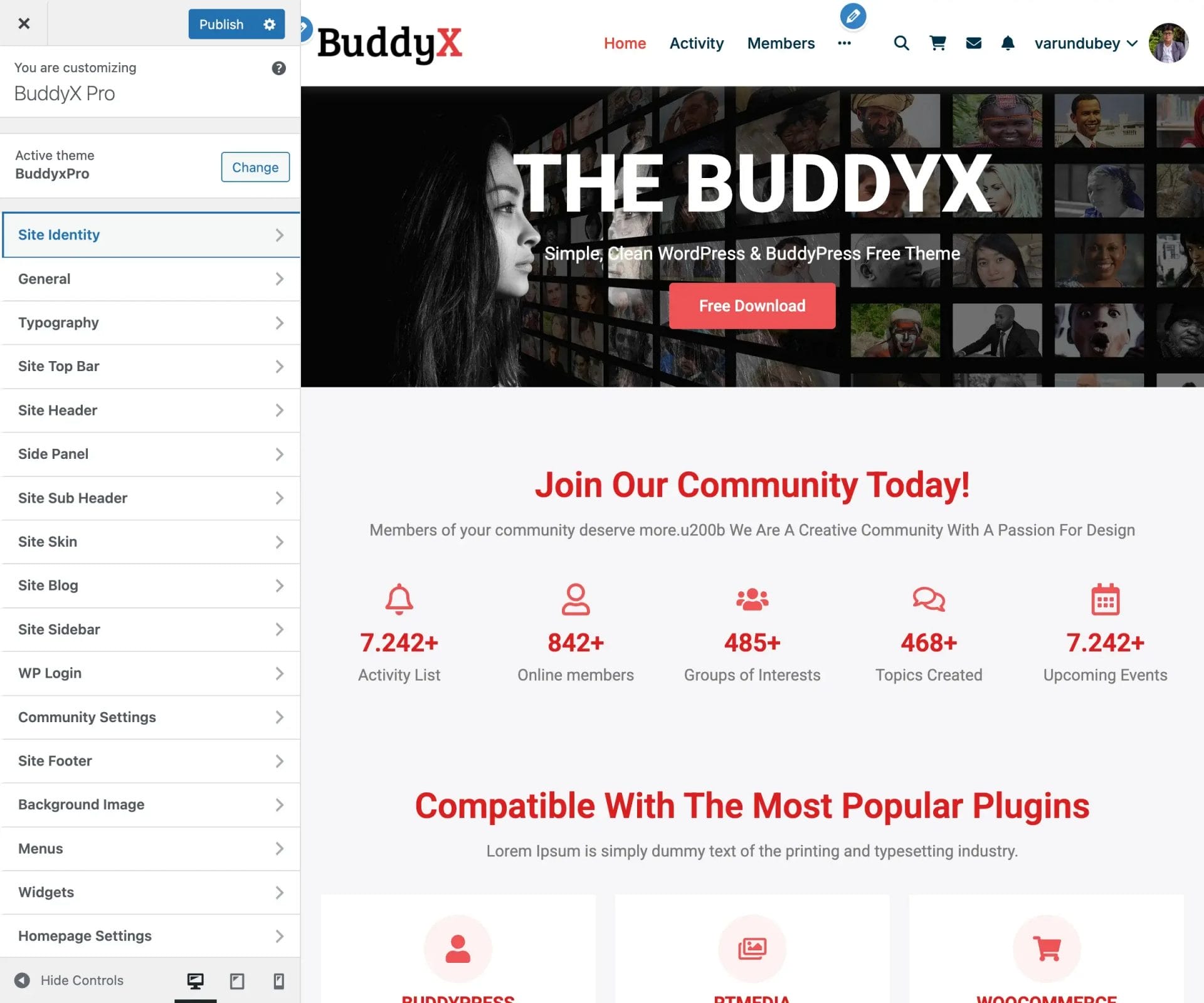 Main Customizer Panels