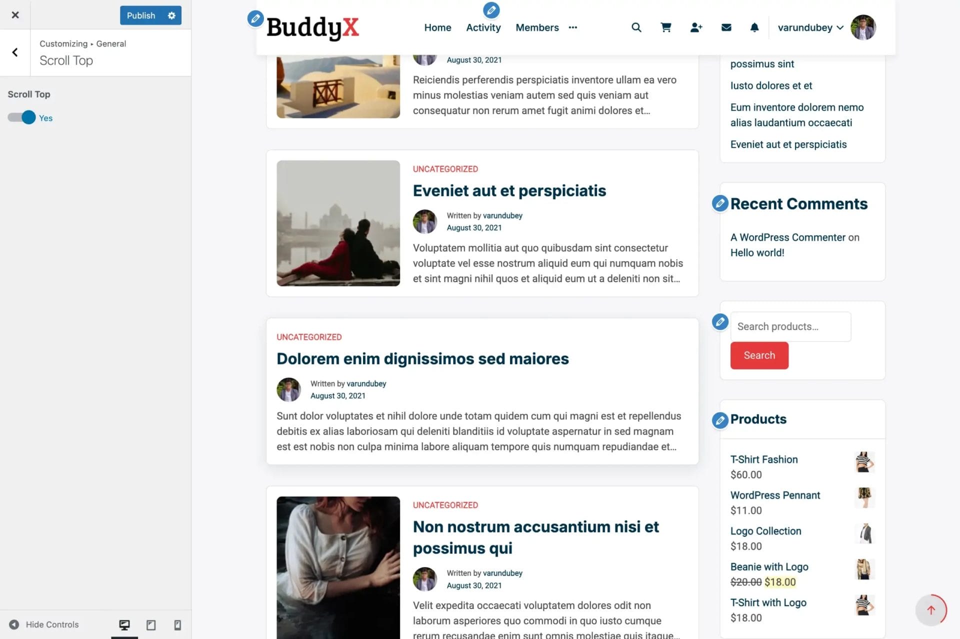 Scroll to Top Settings