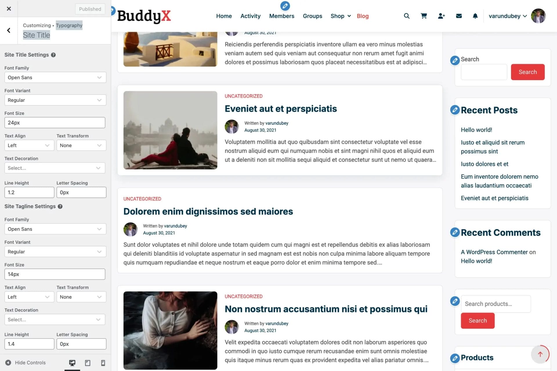Site Identity Typography