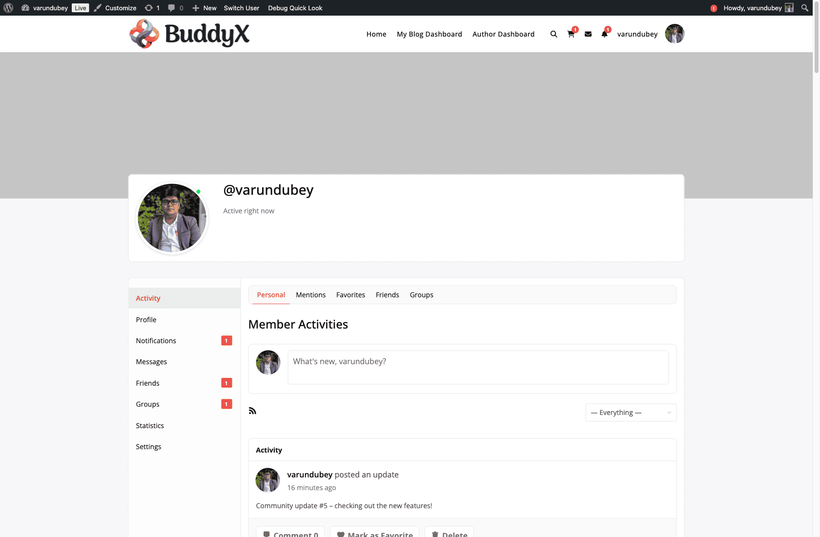 BuddyPress Stats Modern Member Widget
